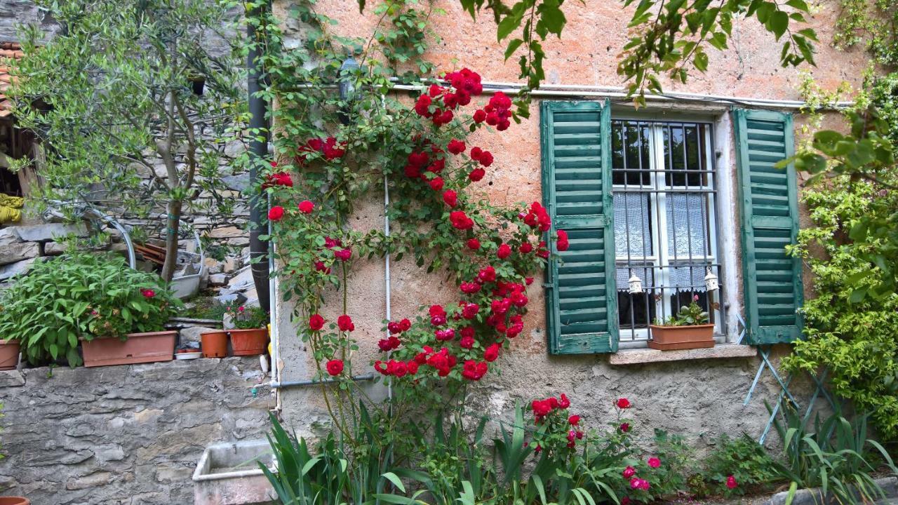 B&B "A Casa Di Camilla" Carate Urio Exterior foto